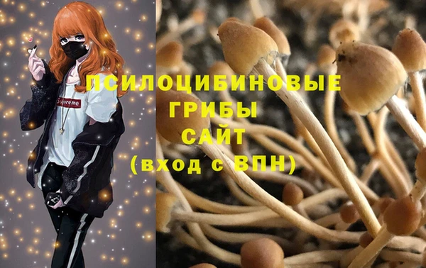 гидра Абинск