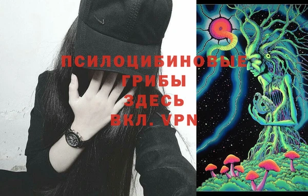 хмурый Абдулино