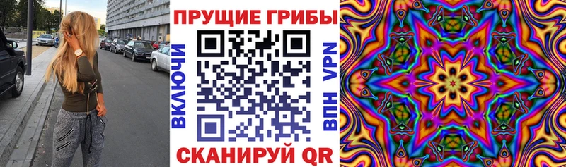 OMG вход  купить наркотики сайты  Бийск  Псилоцибиновые грибы Cubensis 