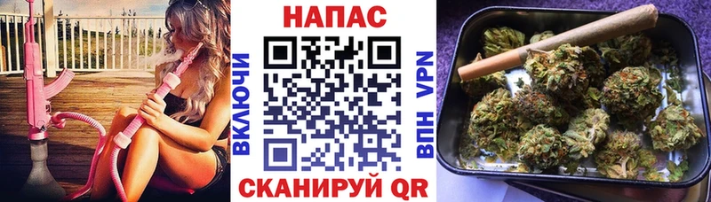 Бошки Шишки ГИДРОПОН  Бийск 